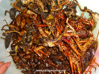 Thailand food- insects